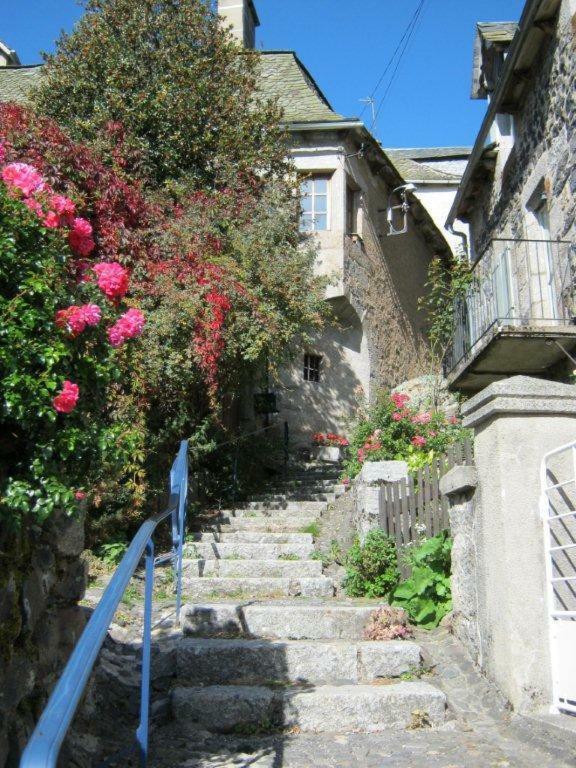 La Cure Grande Maison De Charme De 2 A 14 Personnes Saint-Urcize Exterior foto